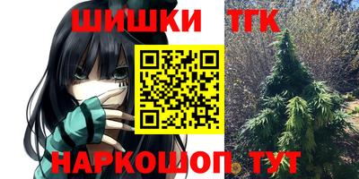 меф Гатчина