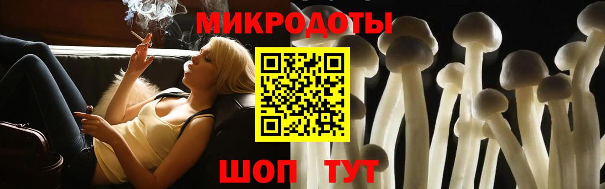 Галлюциногенные грибы Psilocybe  Вход с VPN  Мытищи 